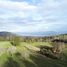  Land for sale in Chile, Villarrica, Cautin, Araucania, Chile