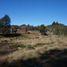  Land for sale in Chile, Villarrica, Cautin, Araucania, Chile
