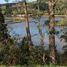  Land for sale in Los Rios, Mariquina, Valdivia, Los Rios