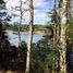  Land for sale in Los Rios, Mariquina, Valdivia, Los Rios