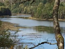  Land for sale in Los Rios, Mariquina, Valdivia, Los Rios