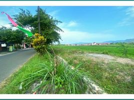  Land for sale in Prambanan, Klaten, Prambanan