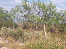  Grundstück zu verkaufen in Nava, Coahuila, Nava