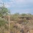  Grundstück zu verkaufen in Nava, Coahuila, Nava