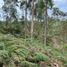 Terrain à vendre à Retiro, Antioquia, Retiro