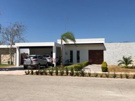 Maison 3 chambre à vendre à Merida, Yucatan, Merida
