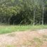  Land for sale in Cali, Valle Del Cauca, Cali