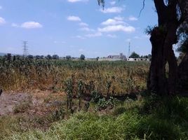  Grundstück zu verkaufen in San Martin De Las Piraamides, Mexico, San Martin De Las Piraamides