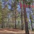  Land for sale in Chile, Curacavi, Melipilla, Santiago, Chile