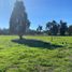  Land for sale in Chile, Vina Del Mar, Valparaiso, Valparaiso, Chile
