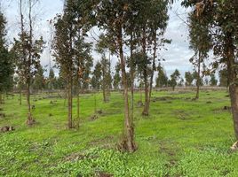  Land for sale in Chile, Vina Del Mar, Valparaiso, Valparaiso, Chile