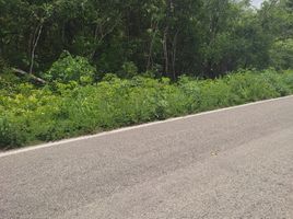  Grundstück zu verkaufen in Celestun, Yucatan, Celestun