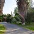  Land for sale in Chile, Santiago, Santiago, Santiago, Chile