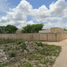  Terreno (Parcela) en venta en Merida, Yucatán, Merida, Yucatán