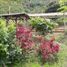 4 Bedroom House for sale in Manizales, Caldas, Manizales