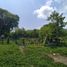  Land for sale in Tuxpan, Jalisco, Tuxpan