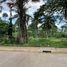  Land for sale in Puerto Princesa City, Mimaropa, Puerto Princesa City, Palawan, Mimaropa