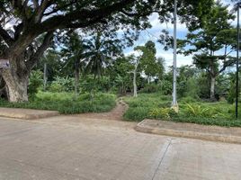  Land for sale in Puerto Princesa City, Mimaropa, Puerto Princesa City, Palawan, Mimaropa