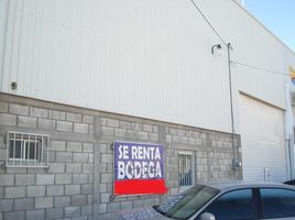 382 平米 Office for rent in 墨西哥, Torreon, Coahuila, 墨西哥