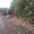  Land for sale in Neuquen, Lacar, Neuquen