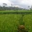  Land for sale in Tampak Siring, Gianyar, Tampak Siring