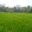  Land for sale in Tampak Siring, Gianyar, Tampak Siring