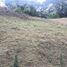  Land for sale in Pereira, Risaralda, Pereira