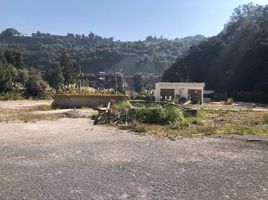  Grundstück zu vermieten in Naucalpan De Juarez, Mexico, Naucalpan De Juarez