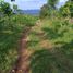  Terreno (Parcela) en venta en Purwakarta, West Jawa, Purwakarta, Purwakarta, West Jawa, Indonesia