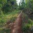  Terreno (Parcela) en venta en Purwakarta, West Jawa, Purwakarta, Purwakarta, West Jawa, Indonesia