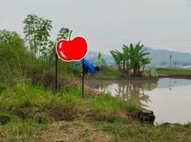  Grundstück zu verkaufen in Padalarang, West Jawa, Padalarang