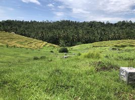  Tanah for sale in Kerambitan, Tabanan, Kerambitan