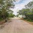  Grundstück zu verkaufen in Conkal, Yucatan, Conkal