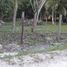  Grundstück zu verkaufen in Othon P Blanco, Quintana Roo, Othon P Blanco