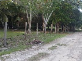  Grundstück zu verkaufen in Othon P Blanco, Quintana Roo, Othon P Blanco