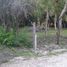  Grundstück zu verkaufen in Othon P Blanco, Quintana Roo, Othon P Blanco