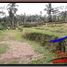  Land for sale in Tegallalang Rice Terrace, Tegallalang, Tegallalang