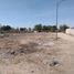  Land for rent in Matamoros, Coahuila, Matamoros