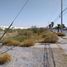  Land for rent in Matamoros, Coahuila, Matamoros