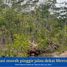  Land for sale in Tepus, Yogyakarta, Tepus, Gunung Kidul