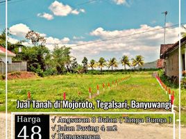  Land for sale in Gambiran, Banyuwangi, Gambiran