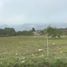  Land for sale in Mala, Lima, Mala