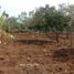  Terreno (Parcela) en venta en Cidadap, West Jawa, Cidadap, Bandung, West Jawa