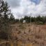 Land for sale in Mineral Del Chico, Hidalgo, Mineral Del Chico