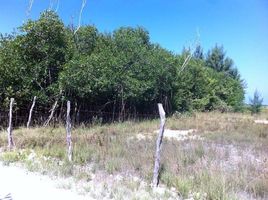  Land for sale in Puerto Morelos, Quintana Roo, Puerto Morelos, Quintana Roo