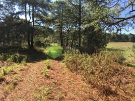  Terreno (Parcela) en venta en Atemajac De Brizuela, Jalisco, Atemajac De Brizuela