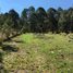  Terreno (Parcela) en venta en Atemajac De Brizuela, Jalisco, Atemajac De Brizuela