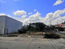  Terreno (Parcela) en alquiler en Zapotlanejo, Jalisco, Zapotlanejo