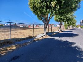  Terreno (Parcela) en venta en Ocoyucan, Puebla, Ocoyucan, Puebla