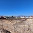  Terreno (Parcela) en venta en Ocoyucan, Puebla, Ocoyucan, Puebla
